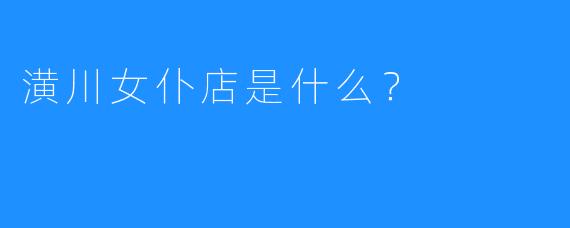 潢川女仆店是什么?
