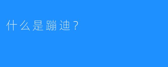 什么是蹦迪?