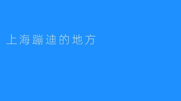 上海蹦迪的地方