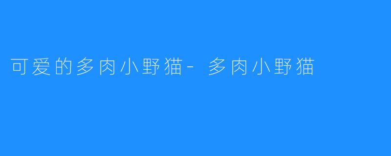 可爱的多肉小野猫-多肉小野猫