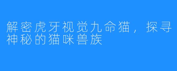 解密虎牙视觉九命猫,探寻神秘的猫咪兽族