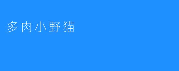 多肉小野猫