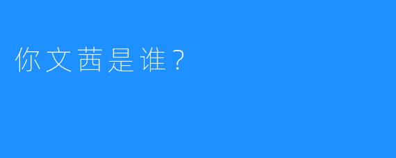 你文茜是谁?