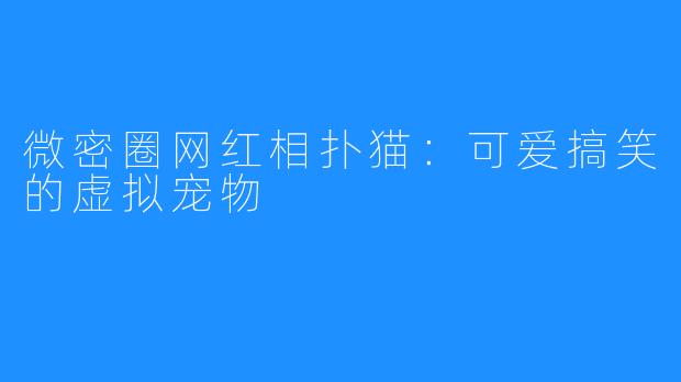微密圈网红相扑猫:可爱搞笑的虚拟宠物