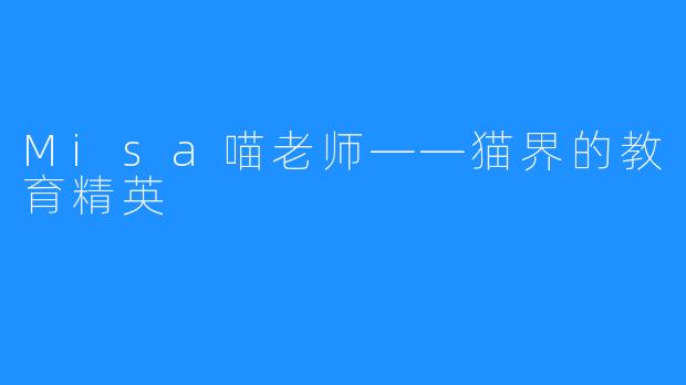 Misa喵老师——猫界的教育精英