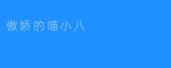 傲娇的喵小八