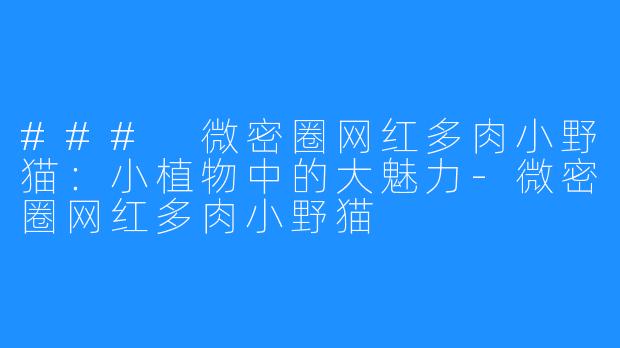 ### 微密圈网红多肉小野猫:小植物中的大魅力-微密圈网红多肉小野猫