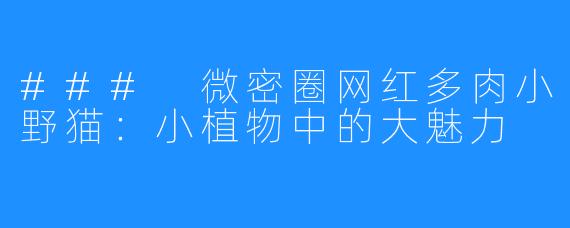 ### 微密圈网红多肉小野猫:小植物中的大魅力