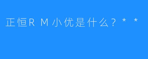 正恒RM小优是什么?**