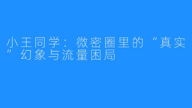 小王同学:微密圈里的“真实”幻象与流量困局