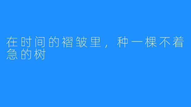 在时间的褶皱里,种一棵不着急的树