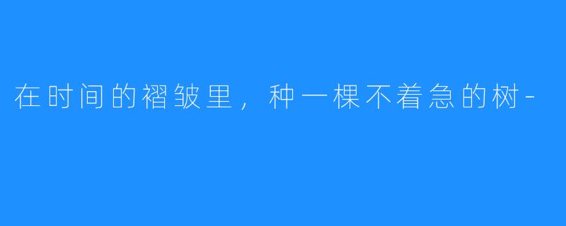 在时间的褶皱里,种一棵不着急的树-