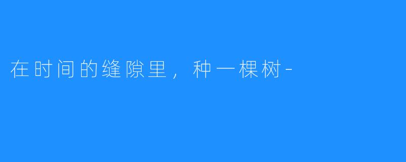 在时间的缝隙里，种一棵树-