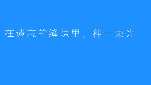 在遗忘的缝隙里,种一束光