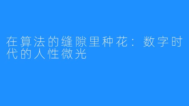 在算法的缝隙里种花:数字时代的人性微光