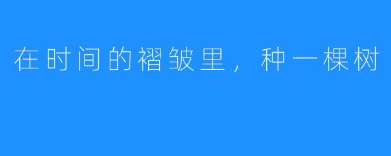 在时间的褶皱里,种一棵树