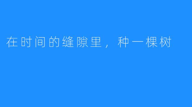 在时间的缝隙里，种一棵树