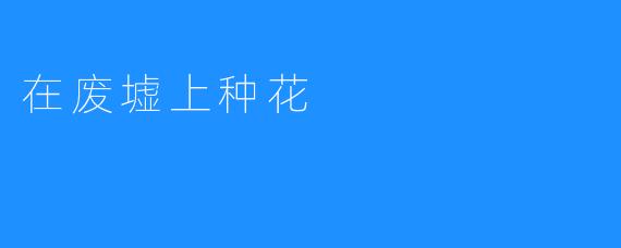 在废墟上种花