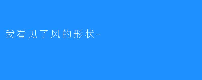 我看见了风的形状-