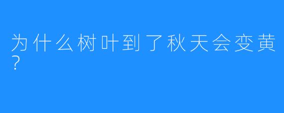 为什么树叶到了秋天会变黄?
