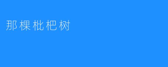 那棵枇杷树